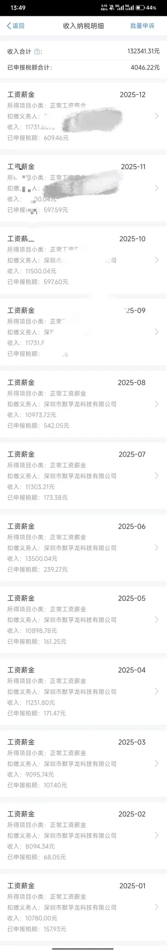 收入纳税明细